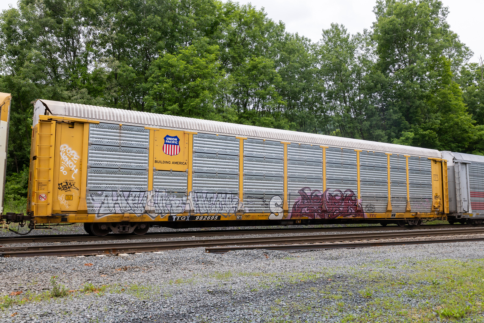 TTGX 982695
