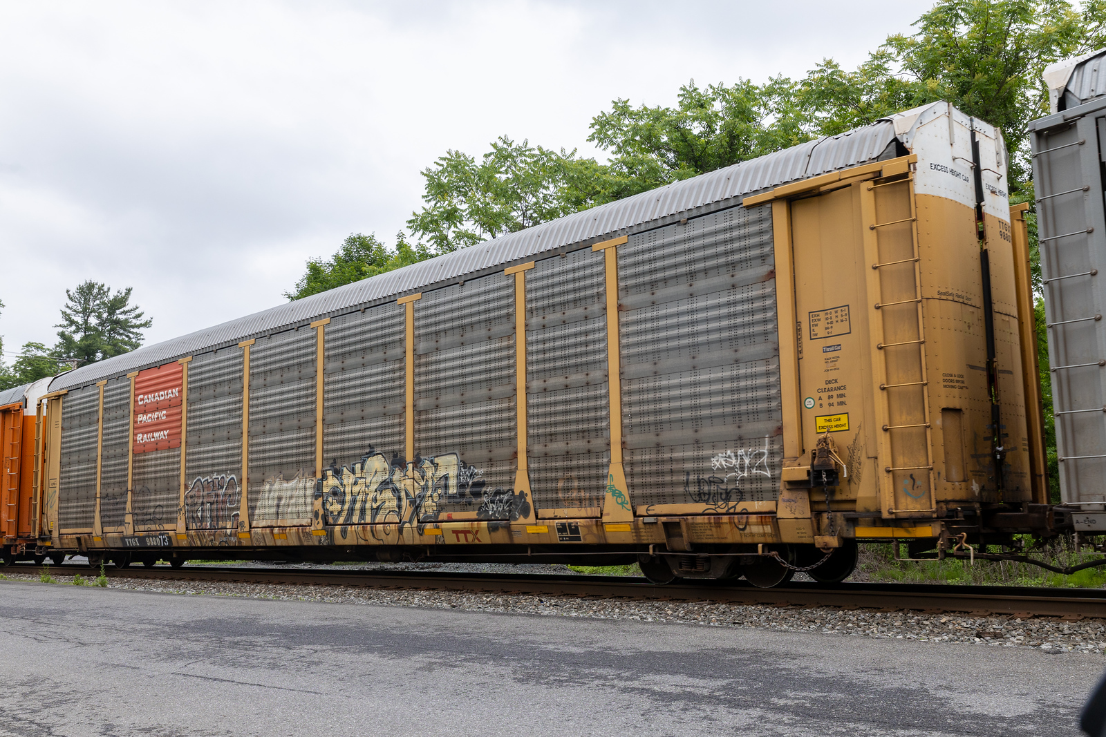 TTGX 988073