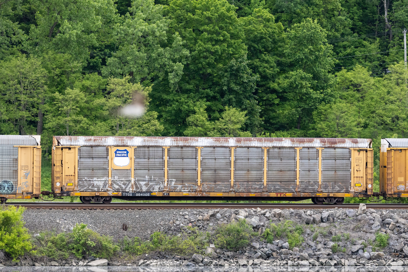 TTGX 964005