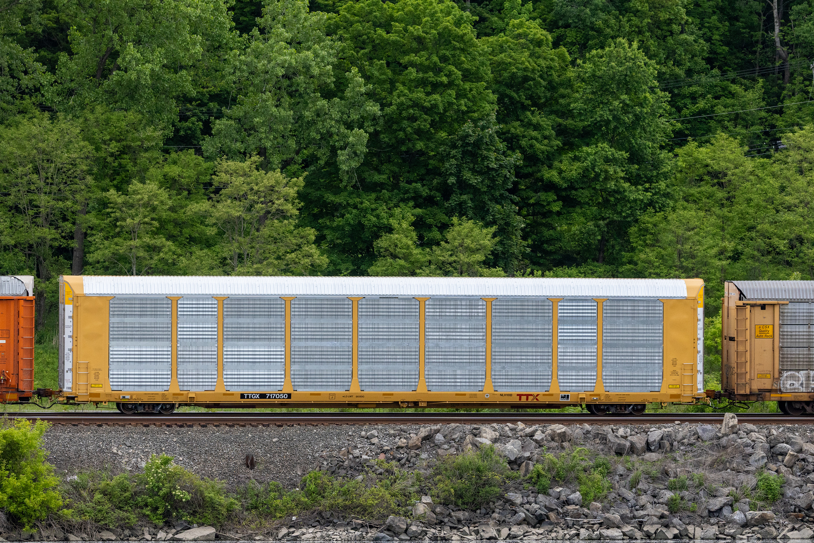 TTGX 717050