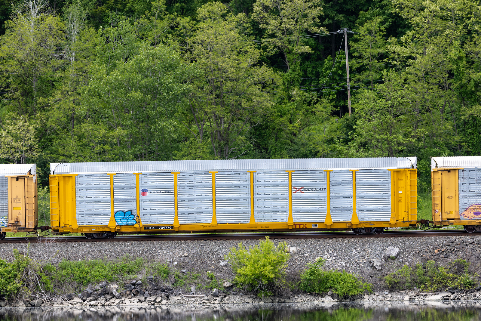TTGX 709779