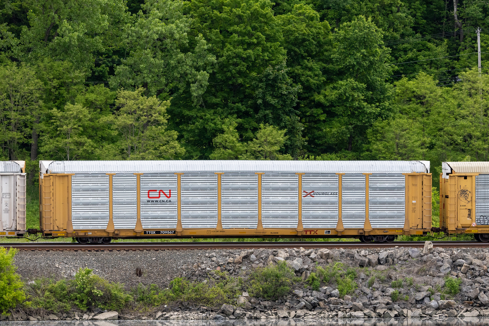 TTGX 709567