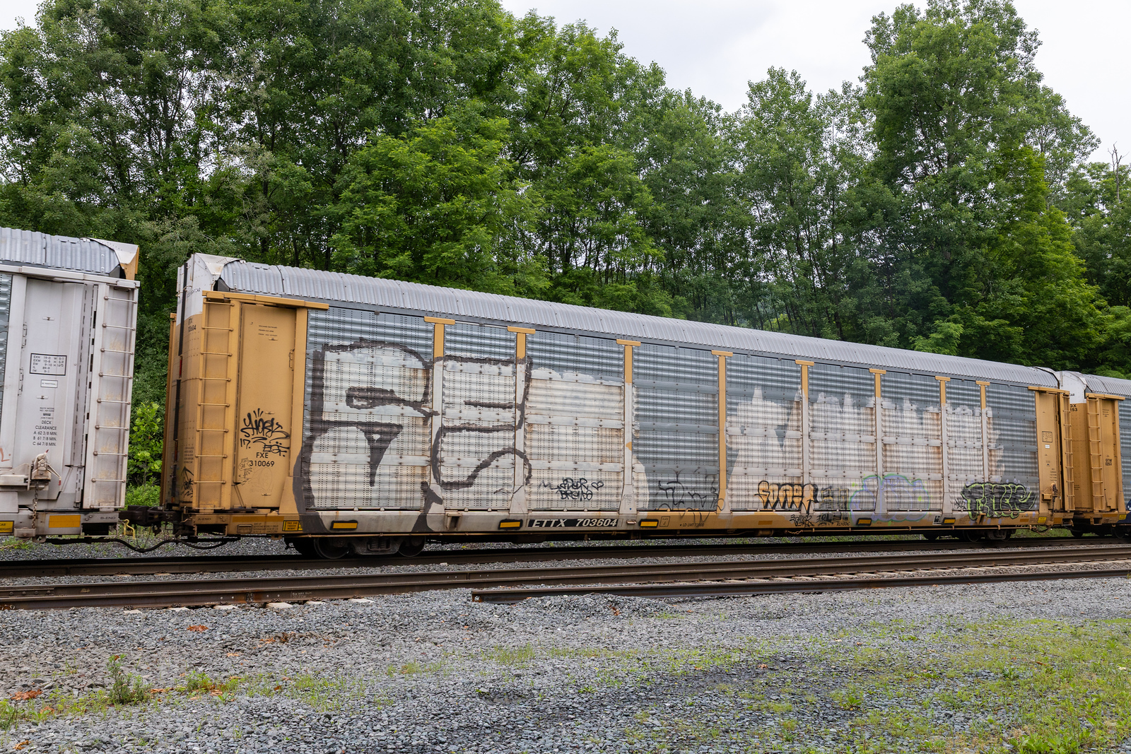 ETTX 703604