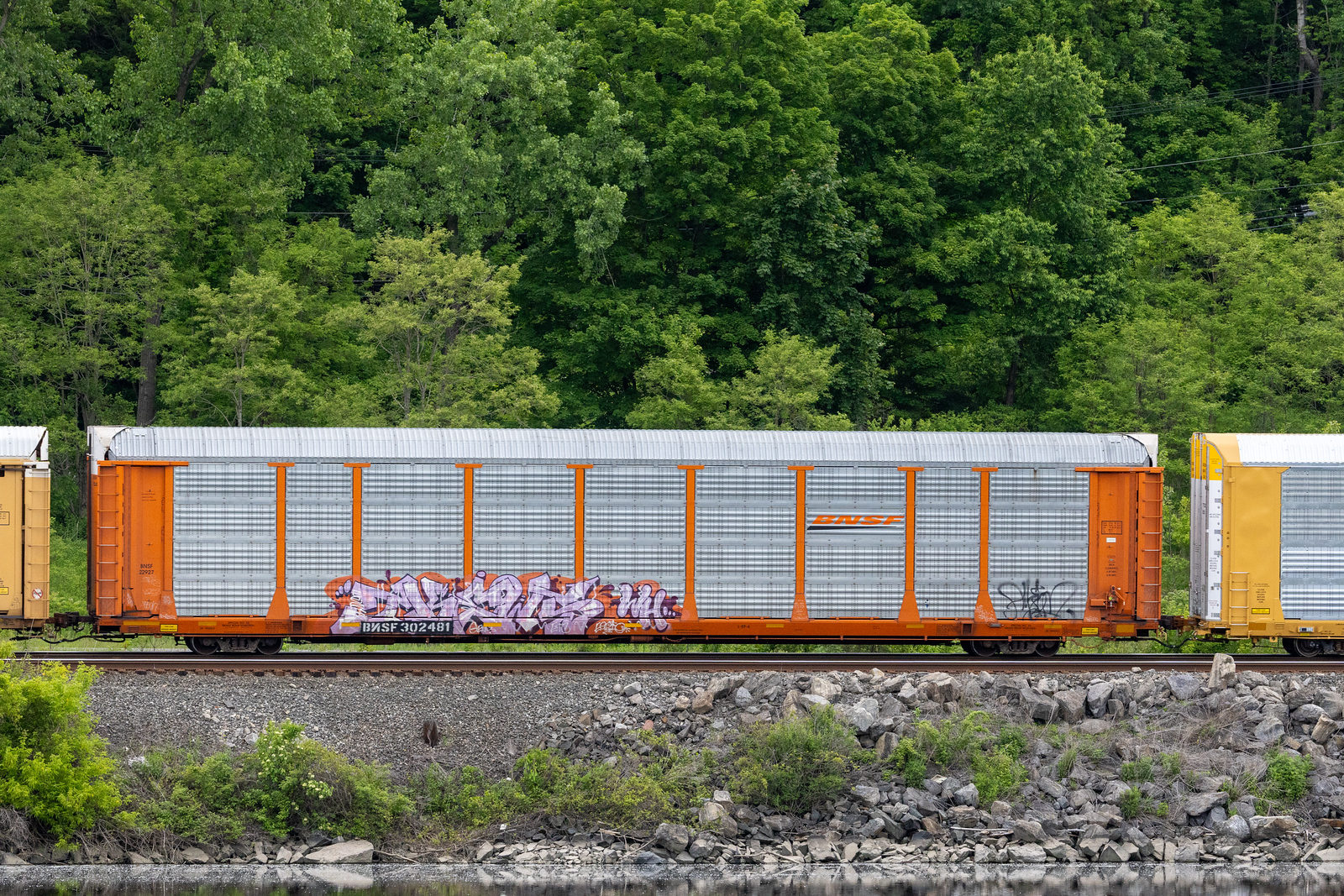 BNSF 302481