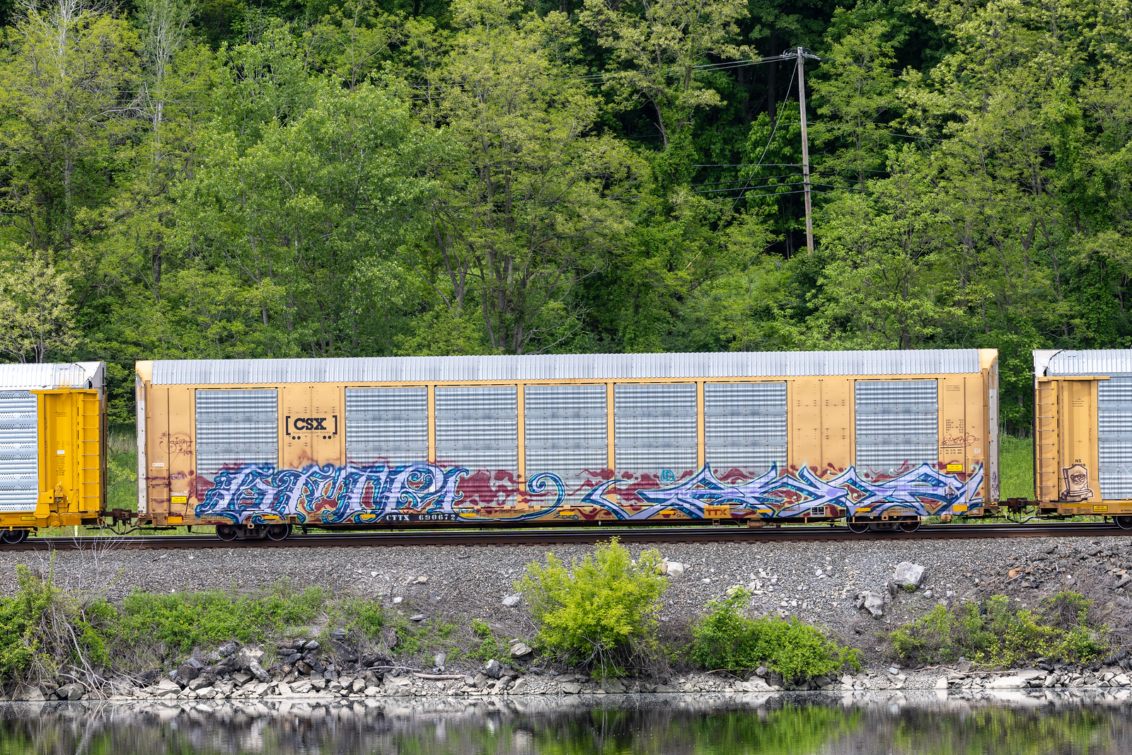 CTTX 690672