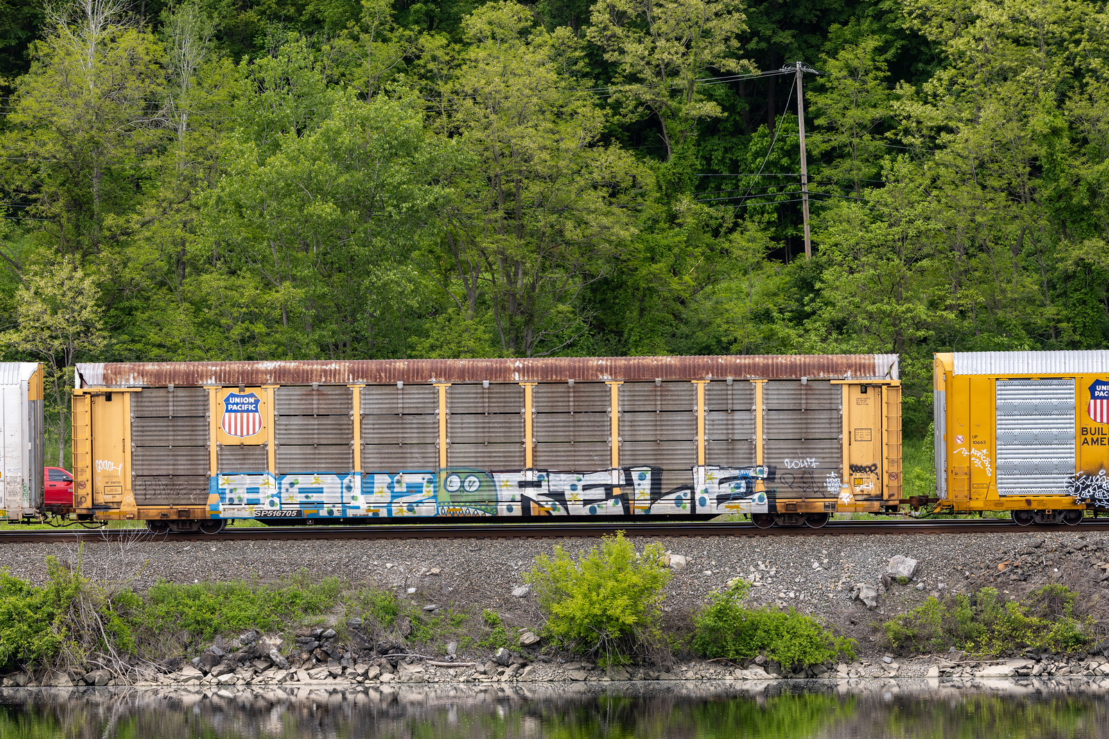 SP 516705