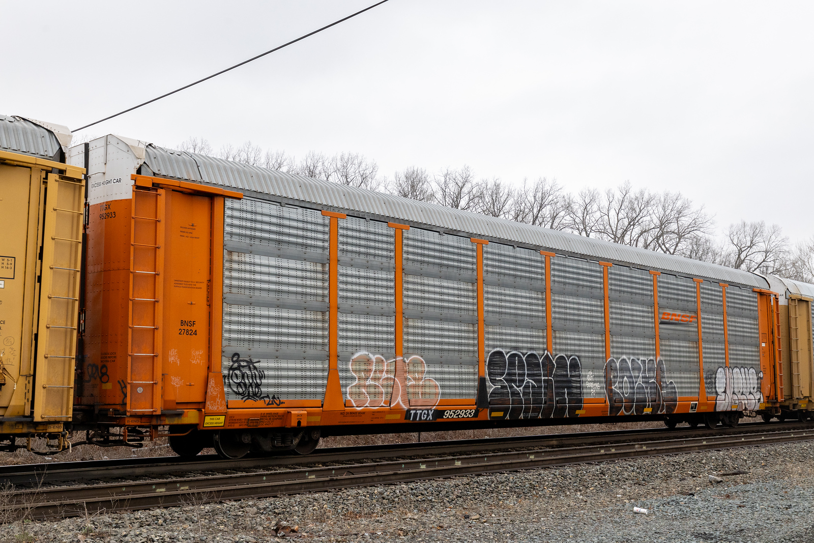 TTGX 952933