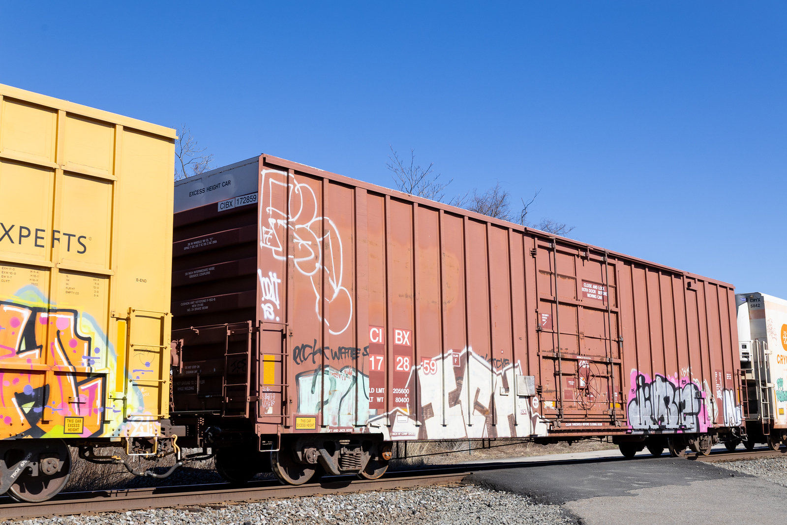 CIBX 172859