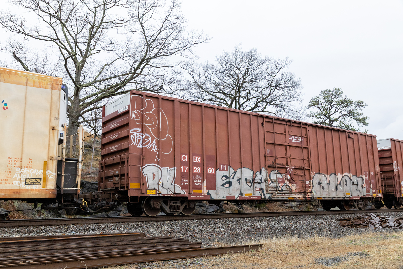CIBX 172860