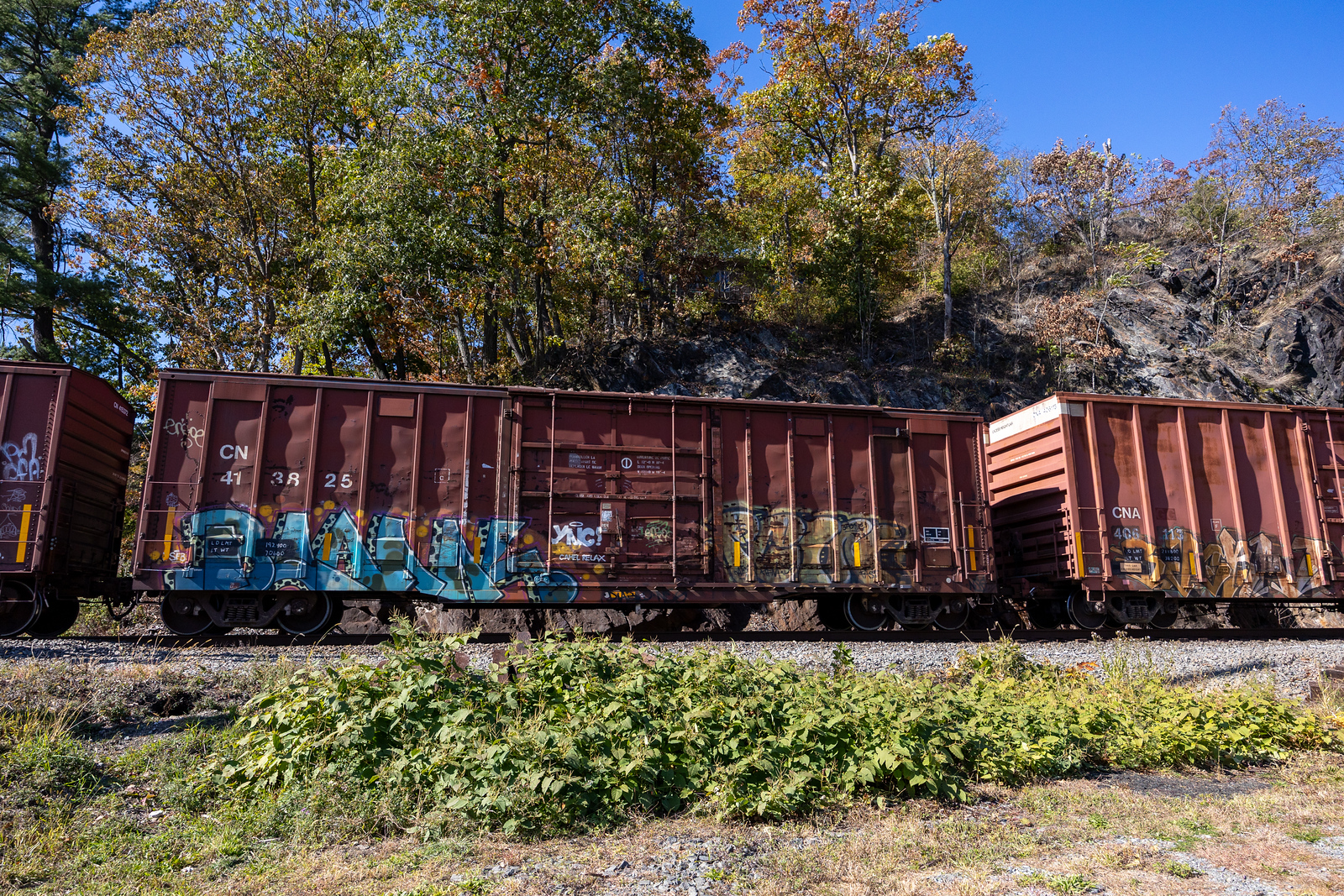CN 413825