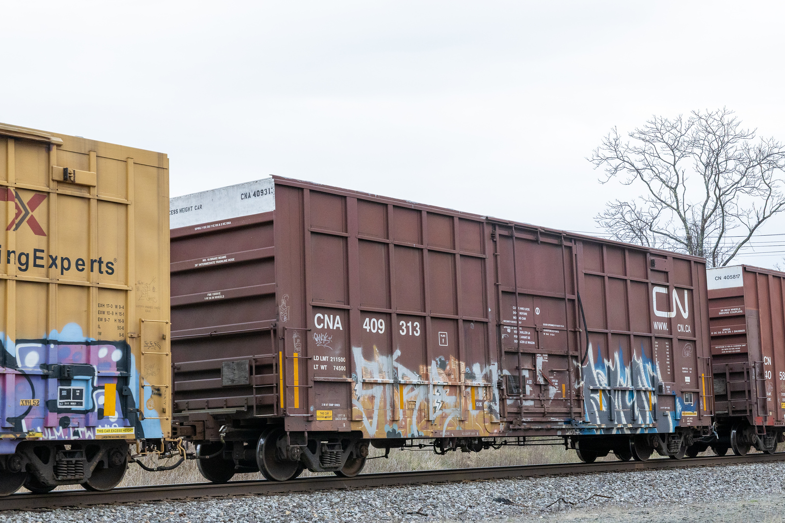 CNA 409313