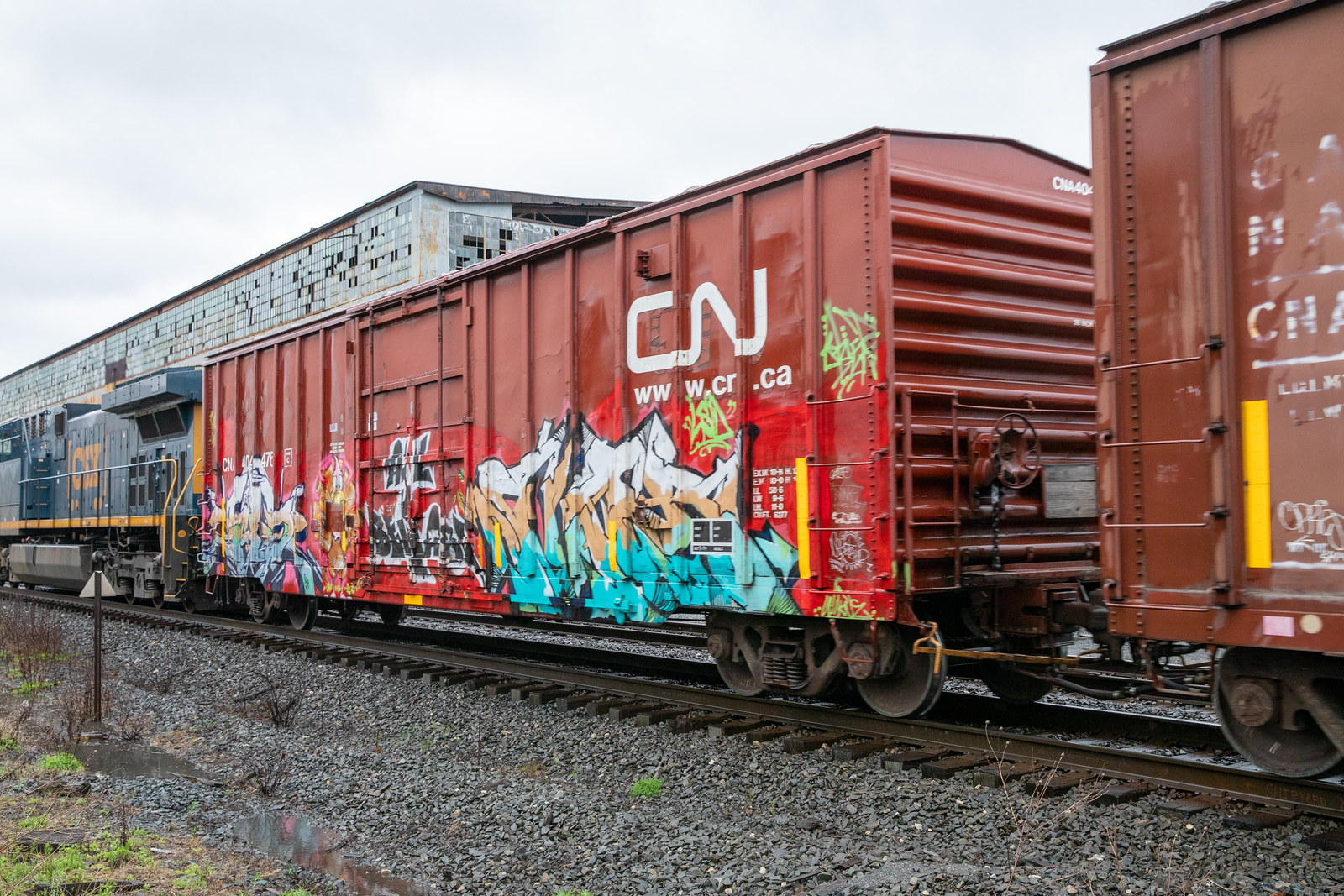 CNA 404476