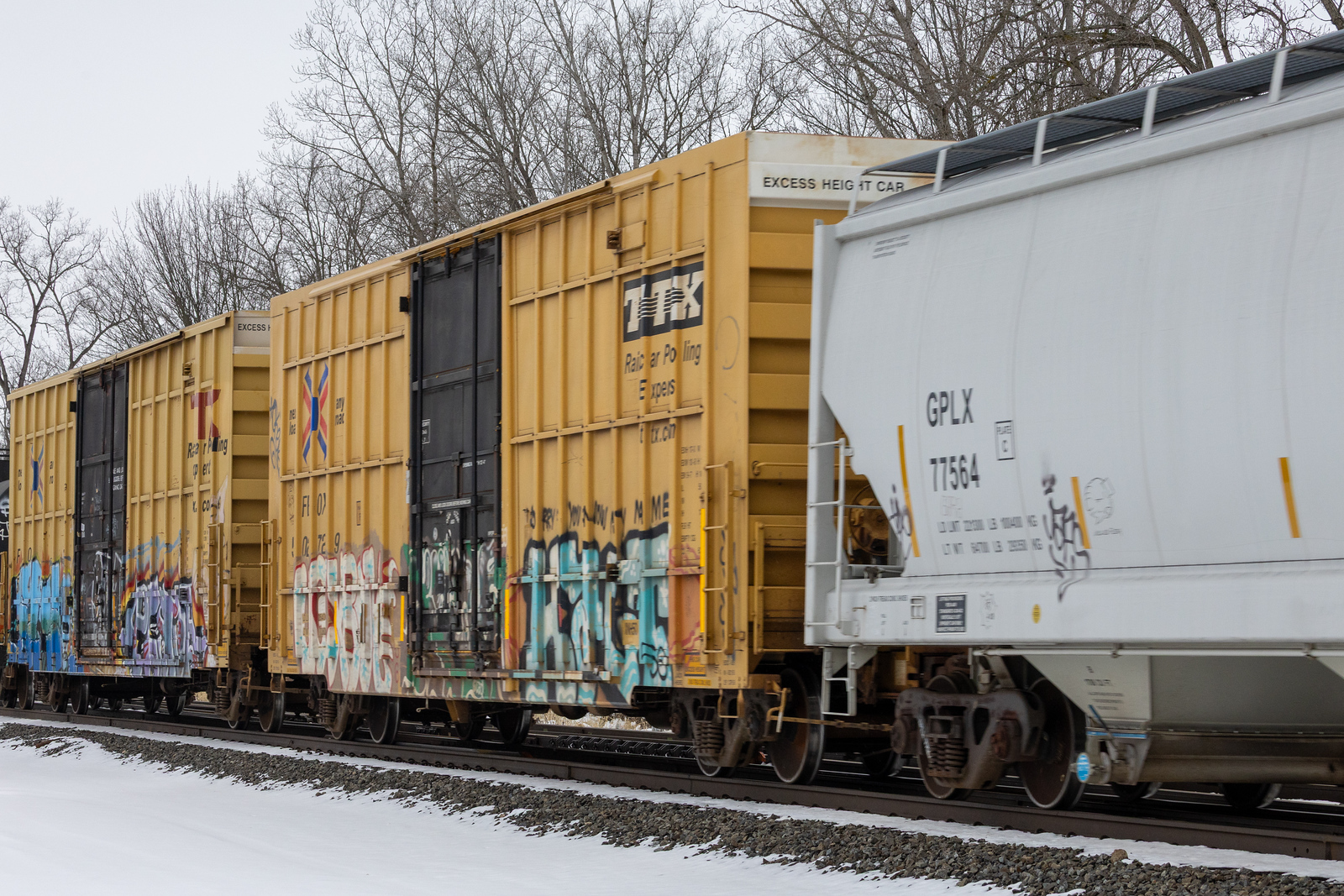 FBOX 502729