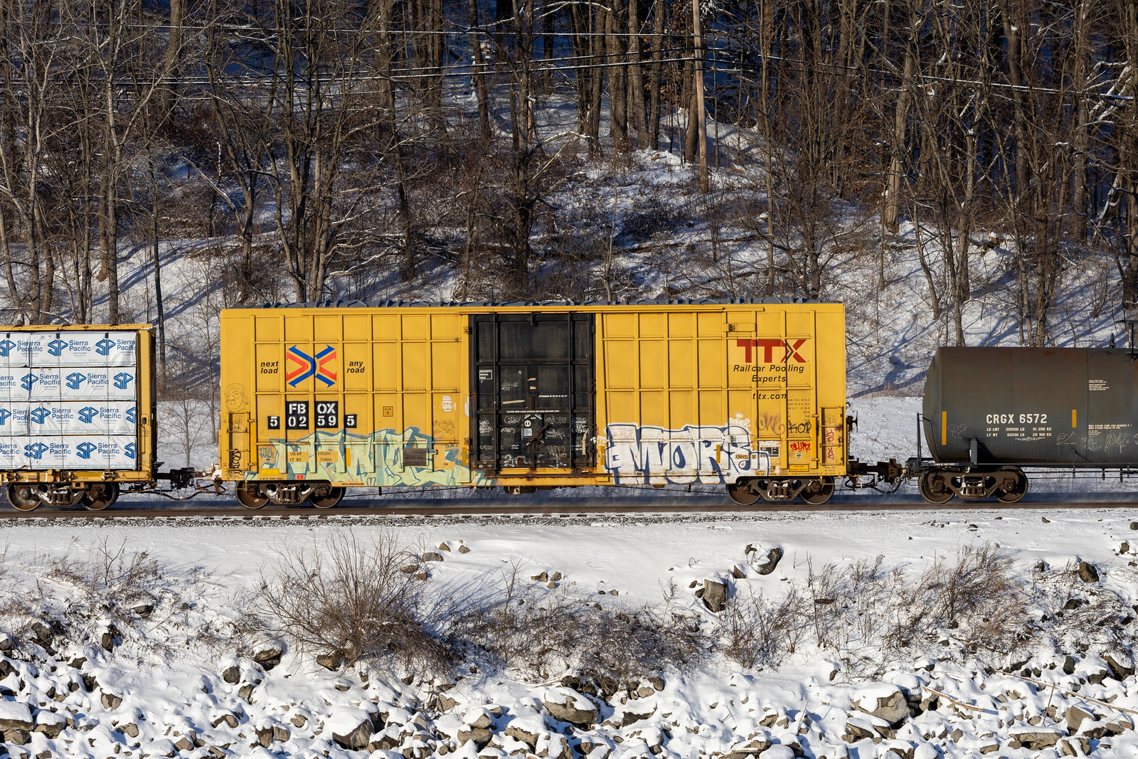 FBOX 502595