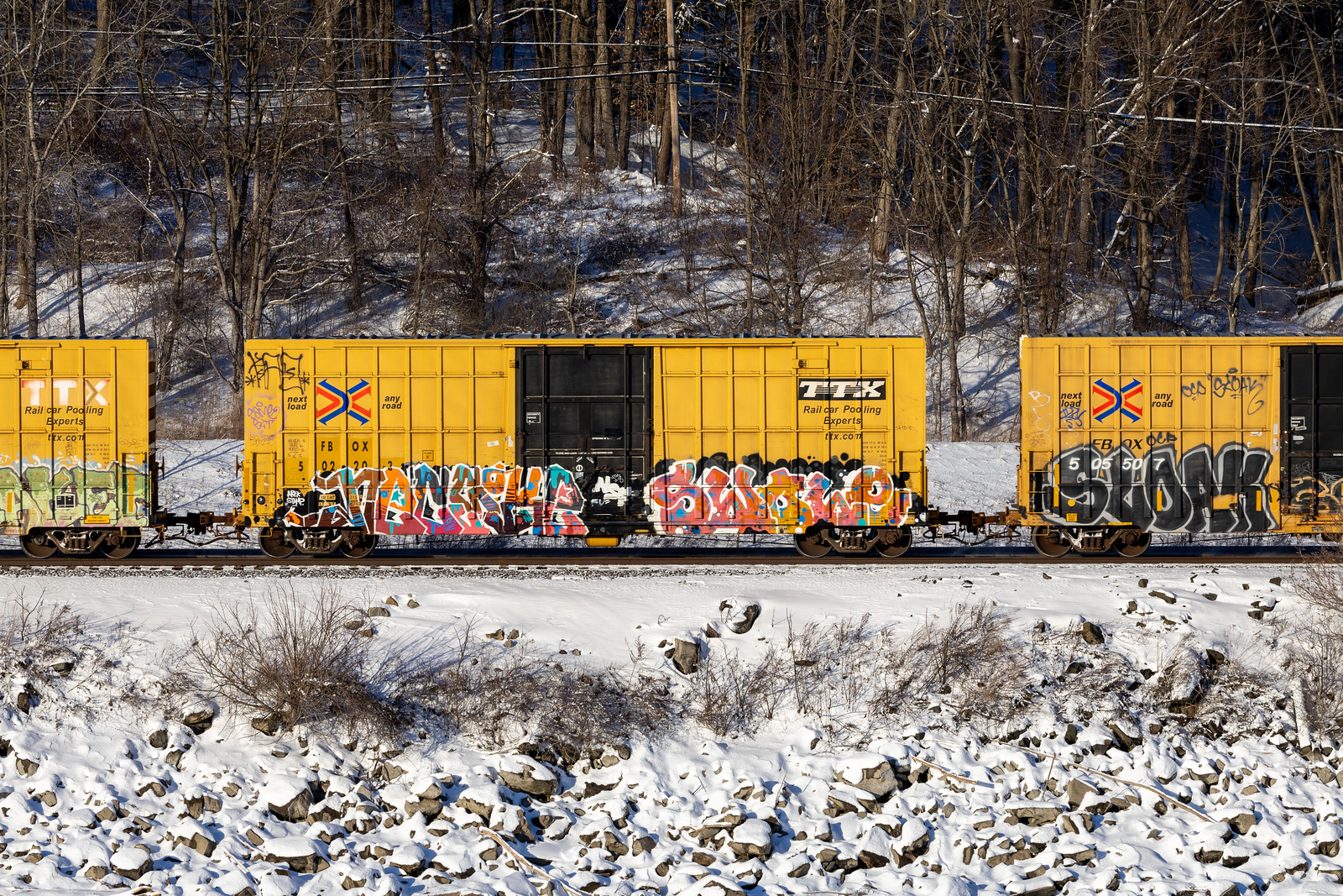 FBOX 502203
