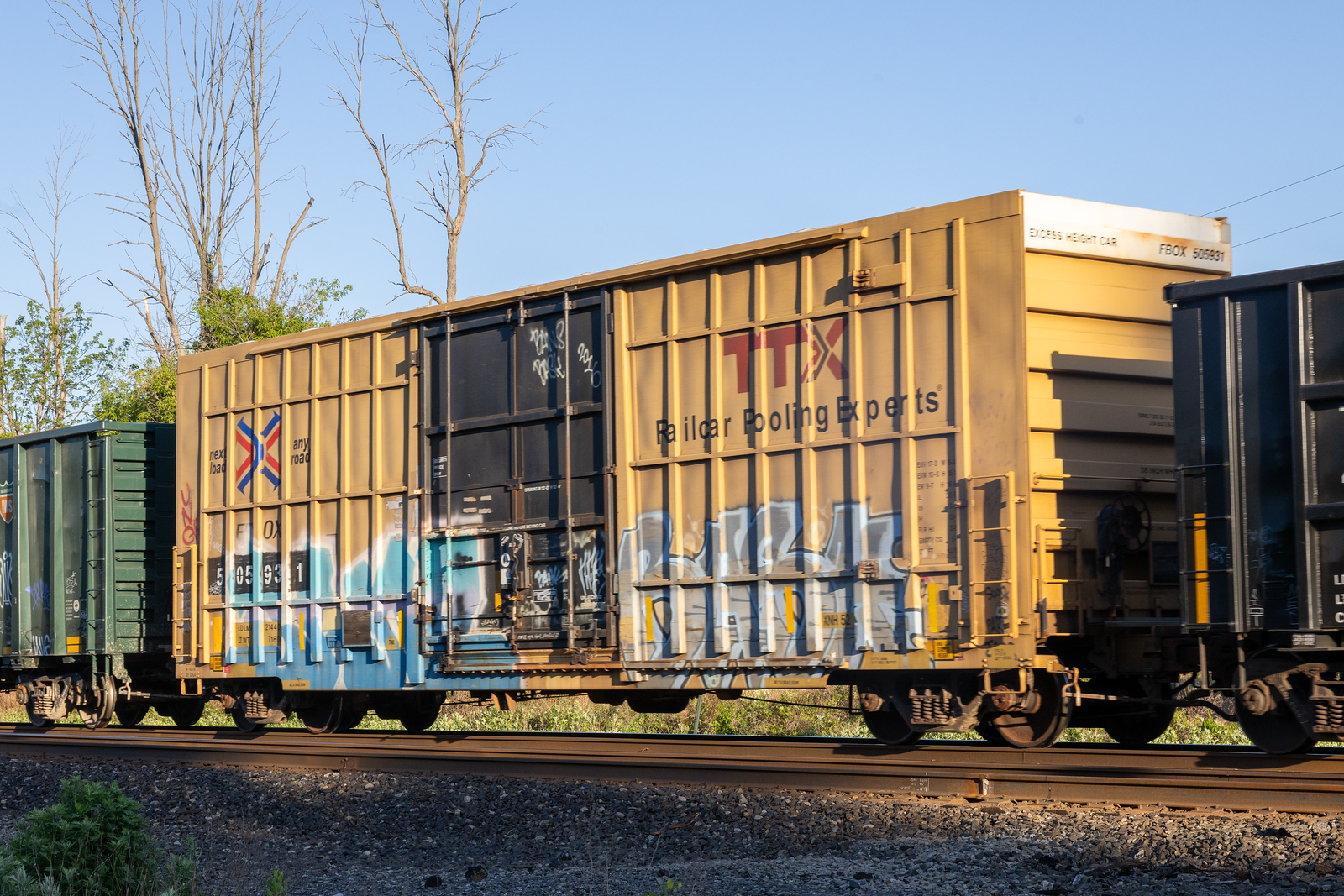 FBOX 505931