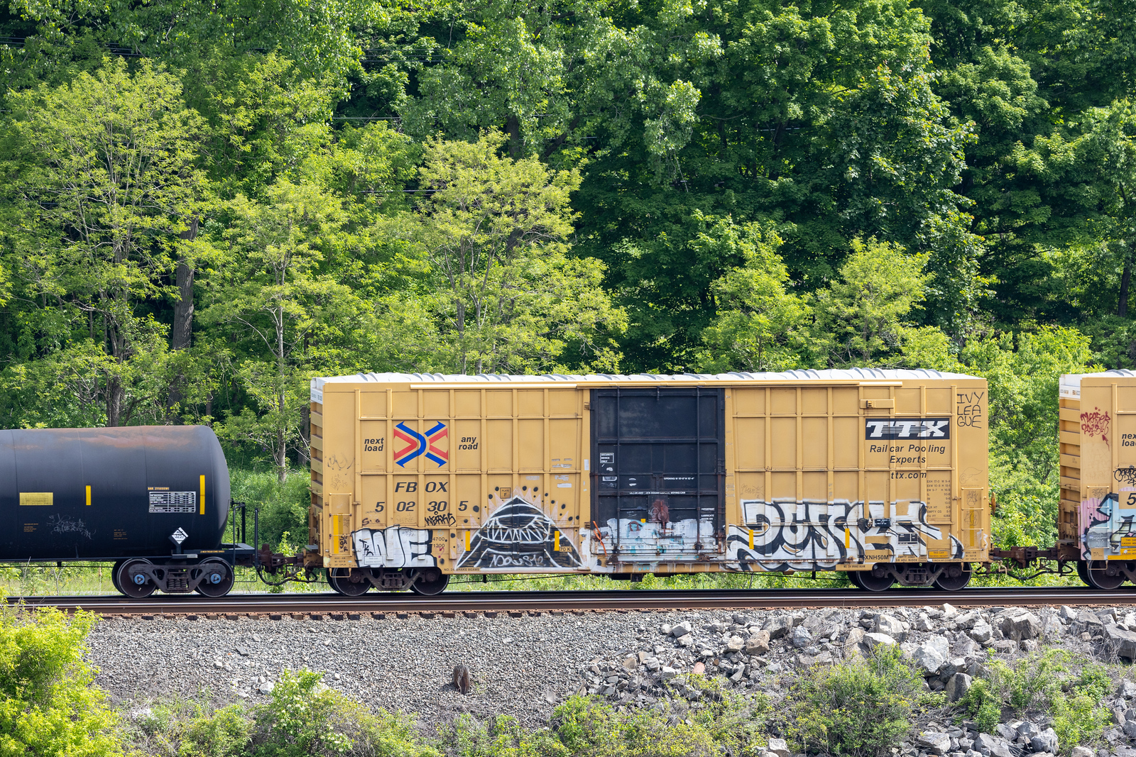 FBOX 502305