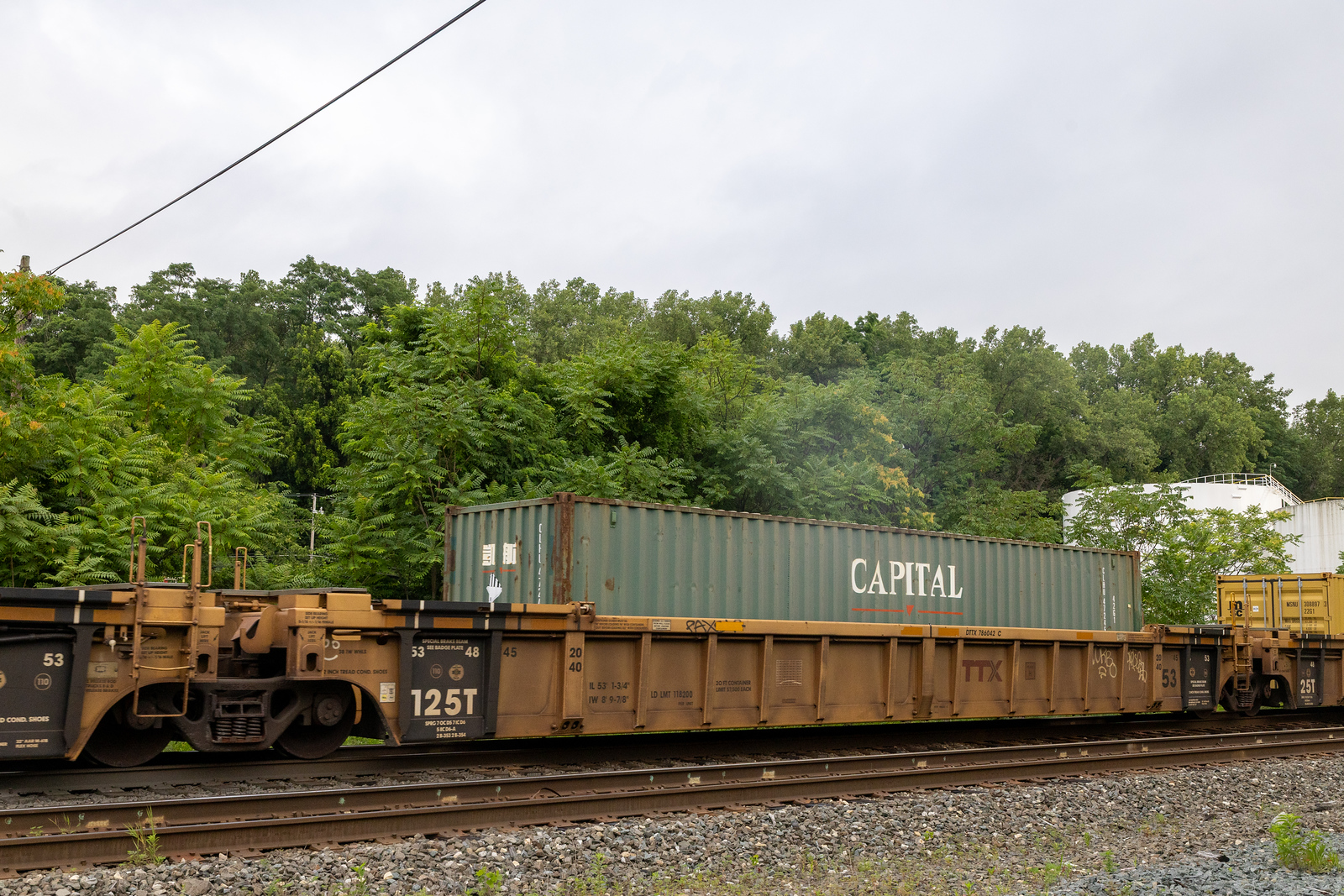 DTTX 786042C