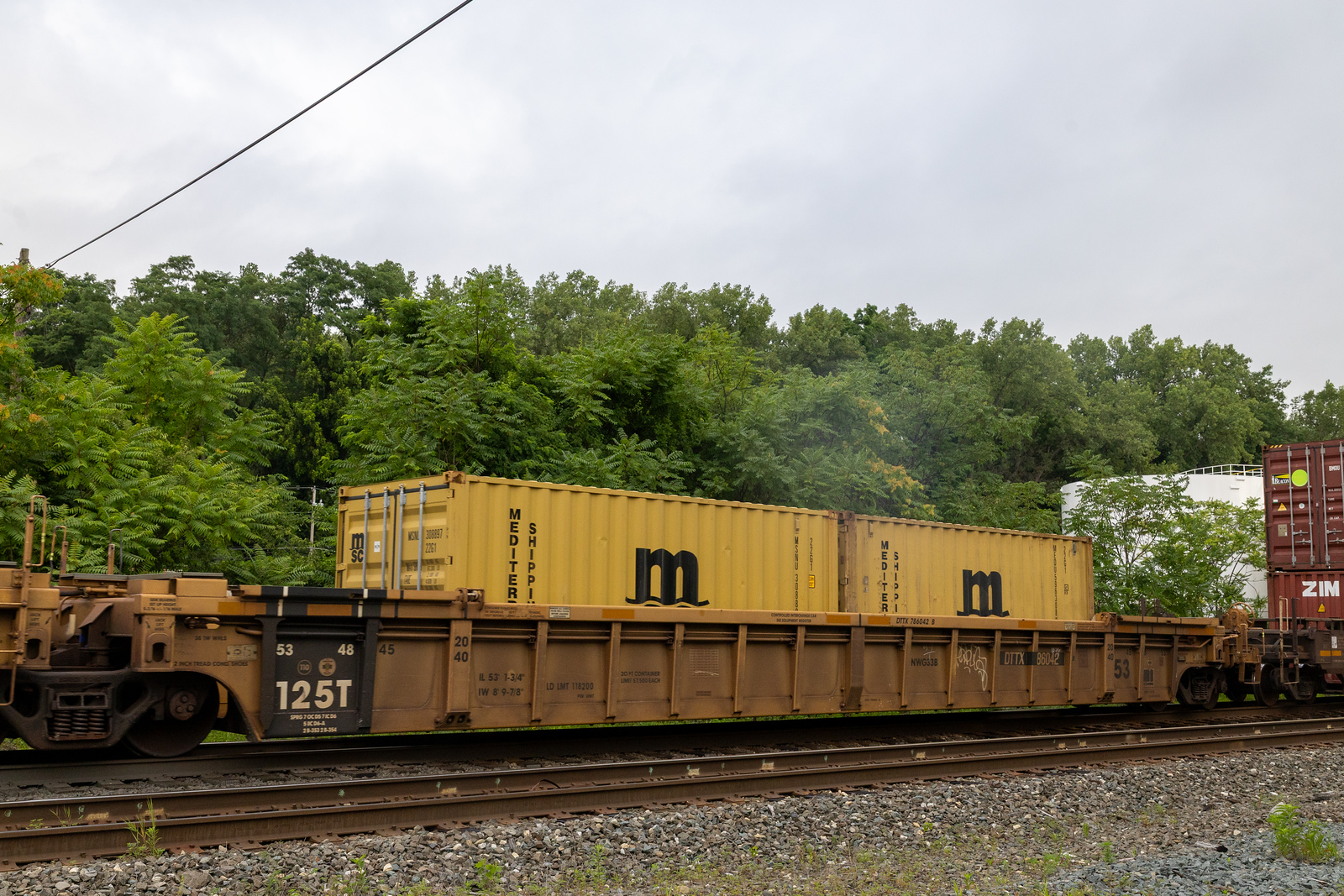 DTTX 786042B