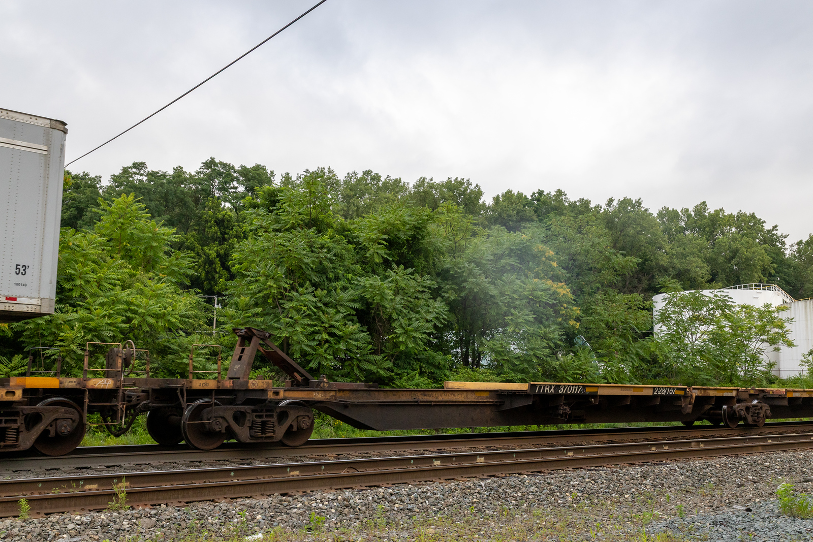 TTRX 370117A