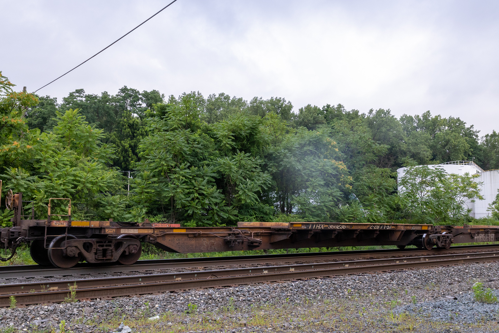 TTRX 360236B