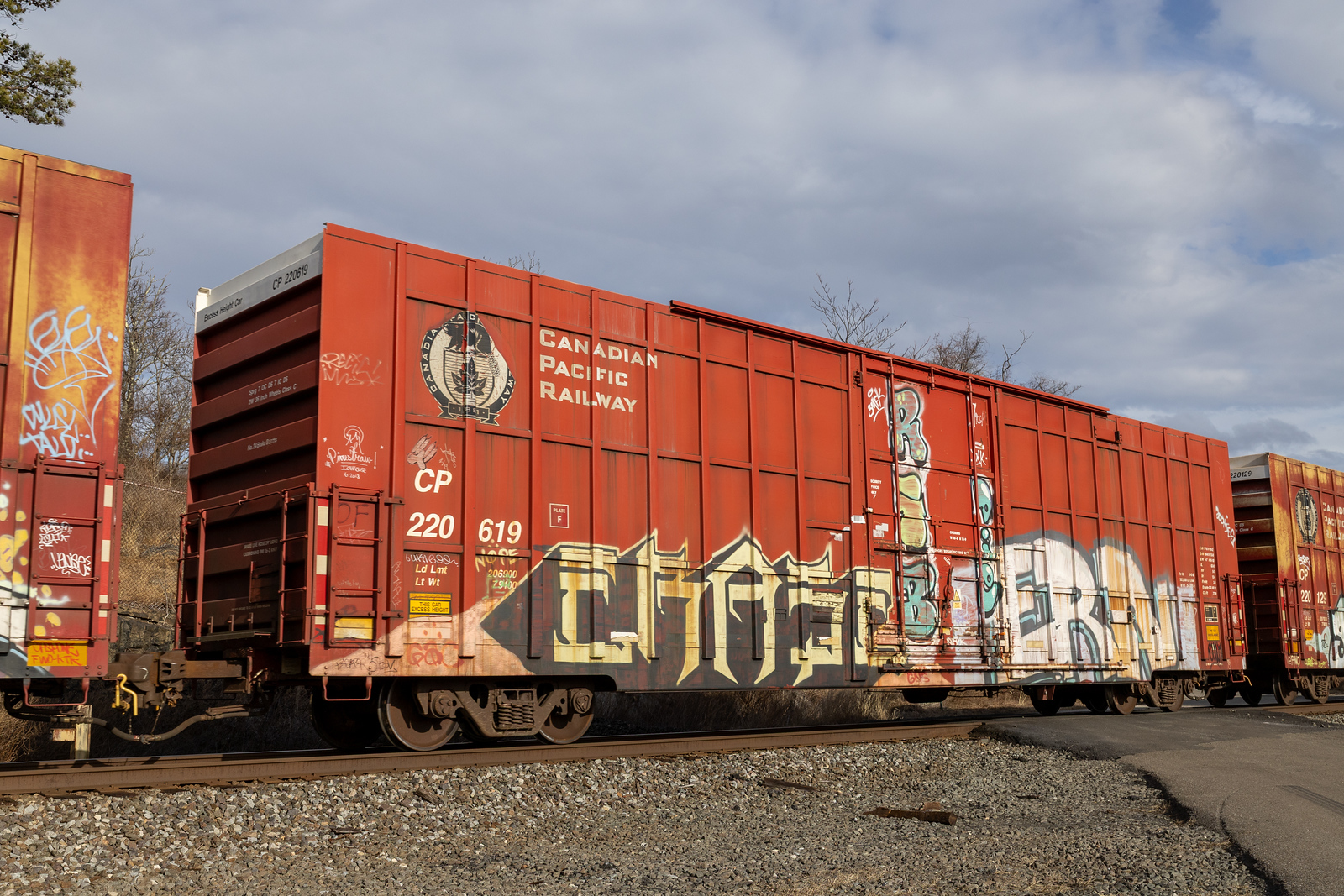 CP 220619