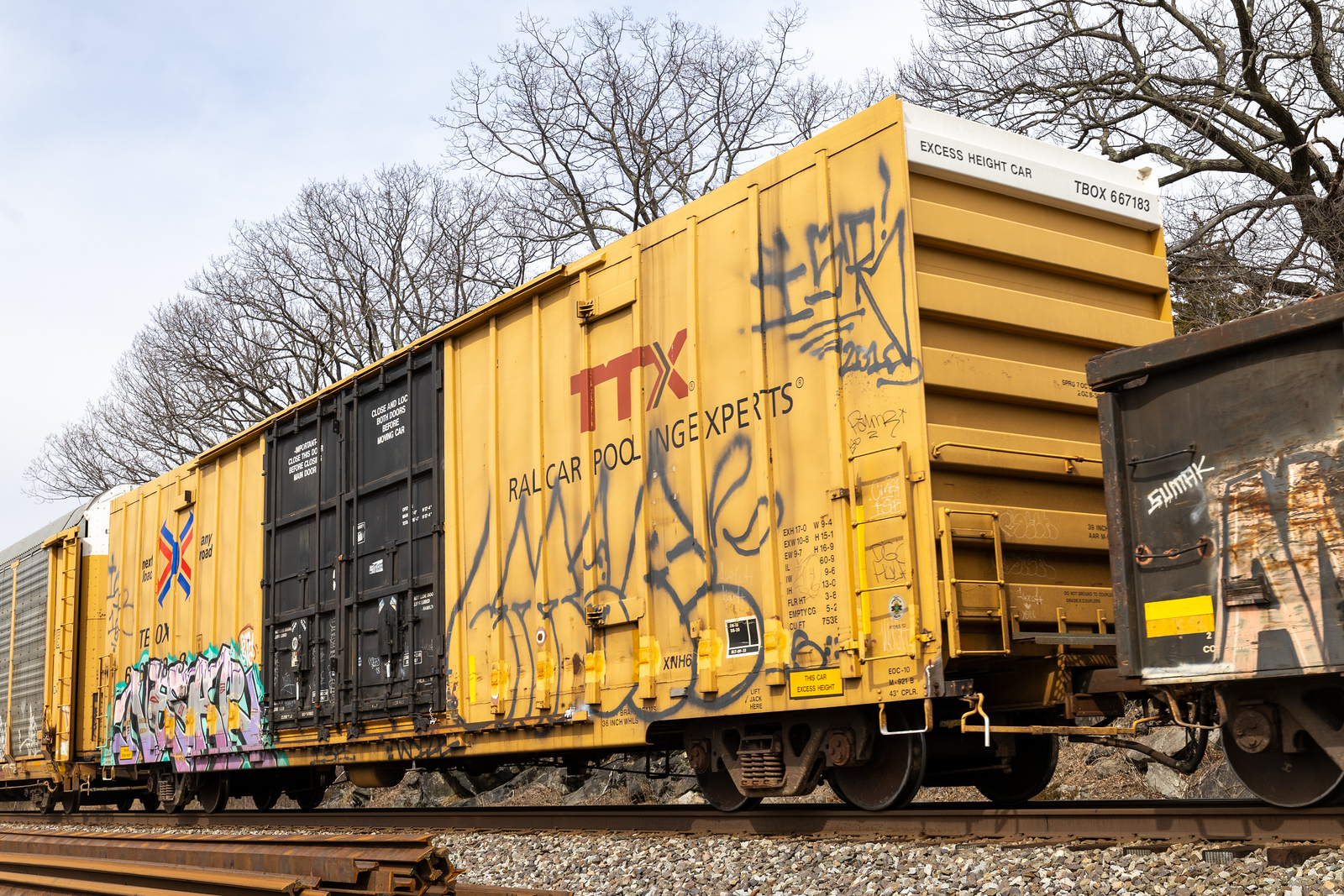 TBOX 667183