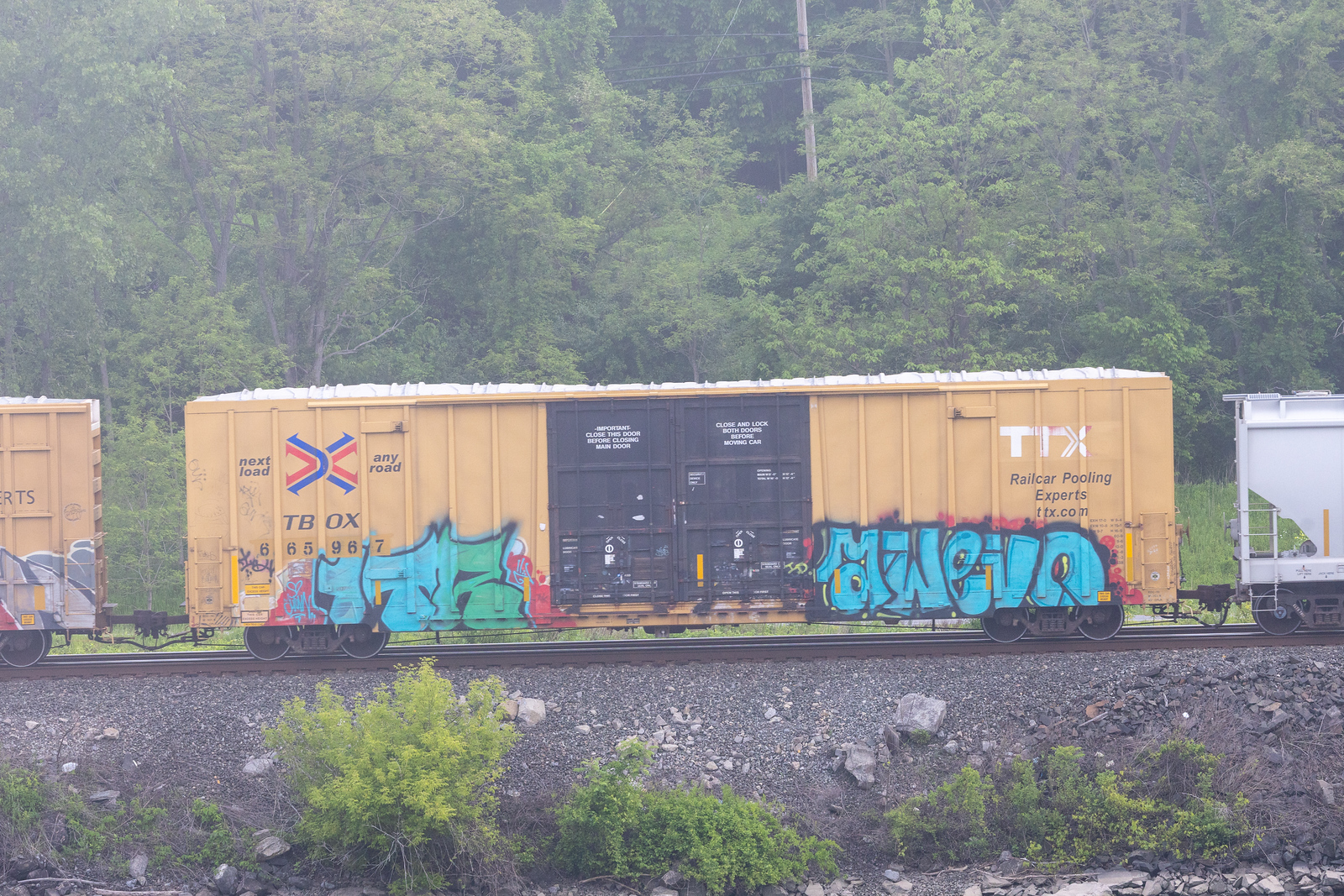 TBOX 665967