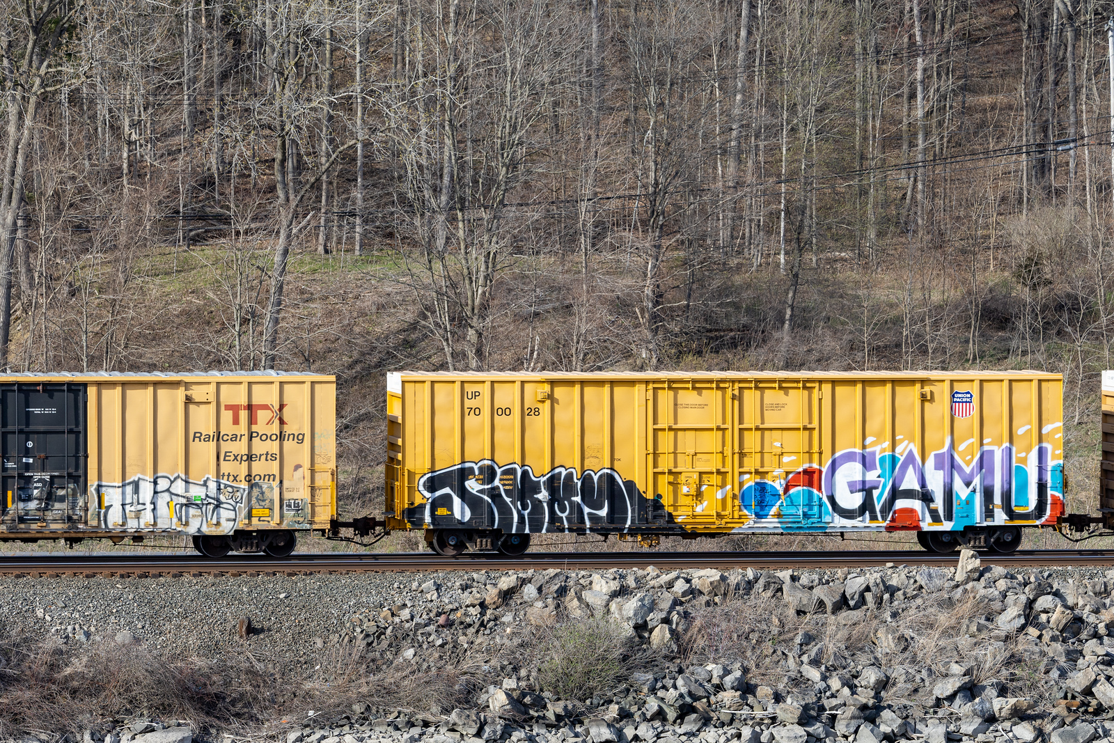 UP 700028