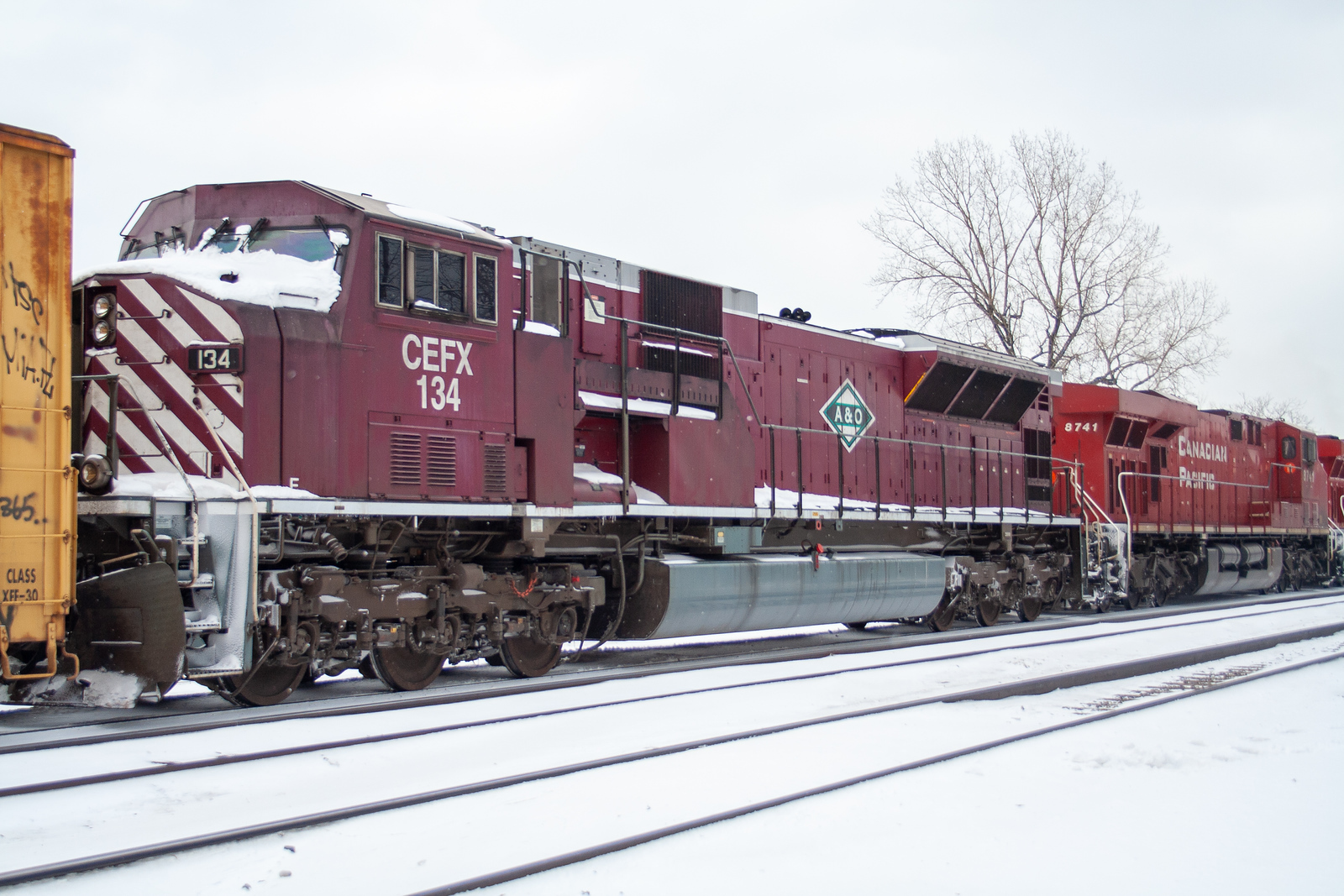CEFX 134