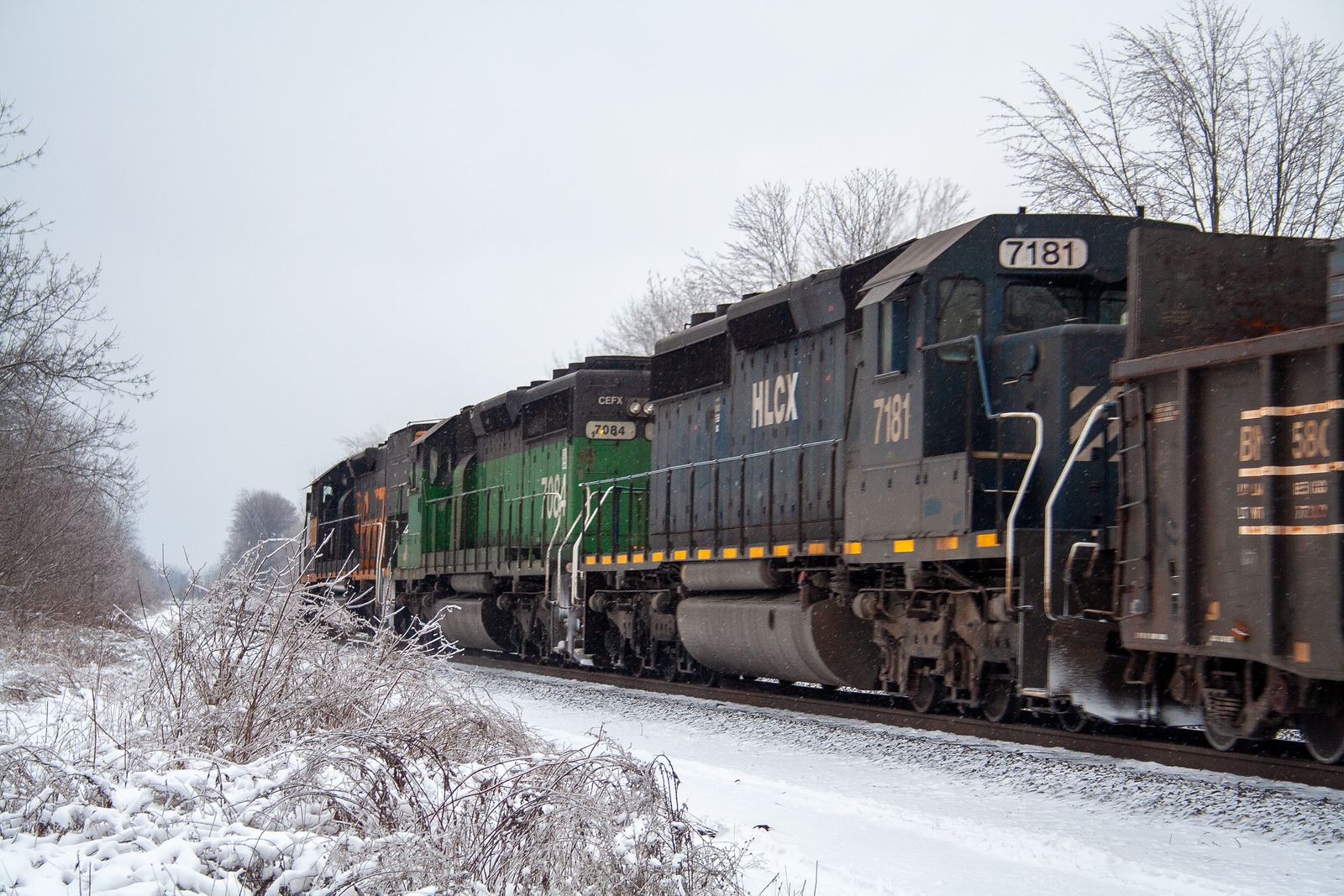 HLCX 7181