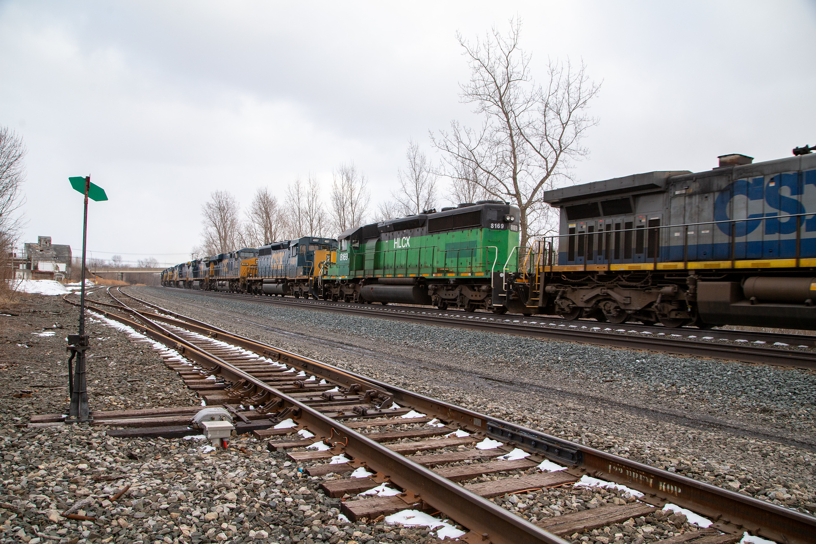 HLCX 8169
