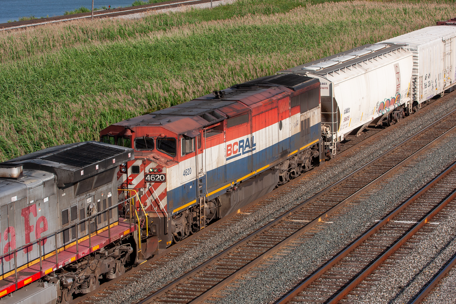 BCOL 4620