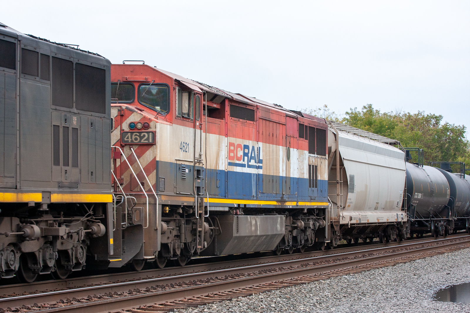BCOL 4621