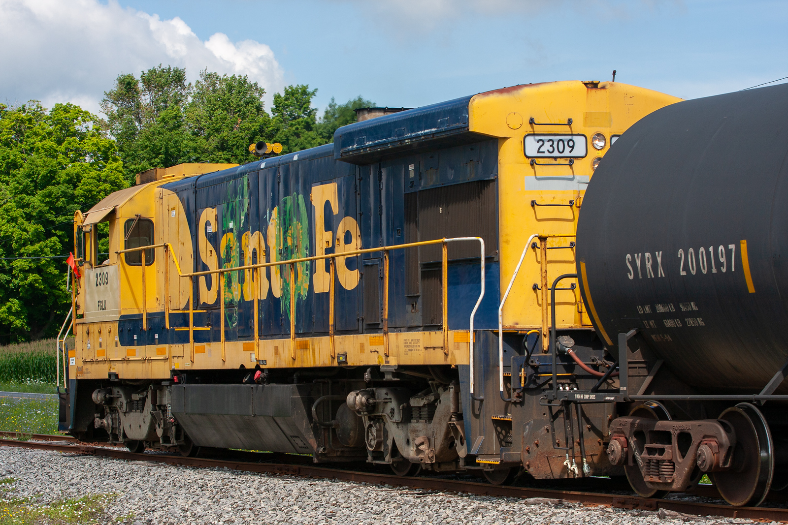 FGLK 2309