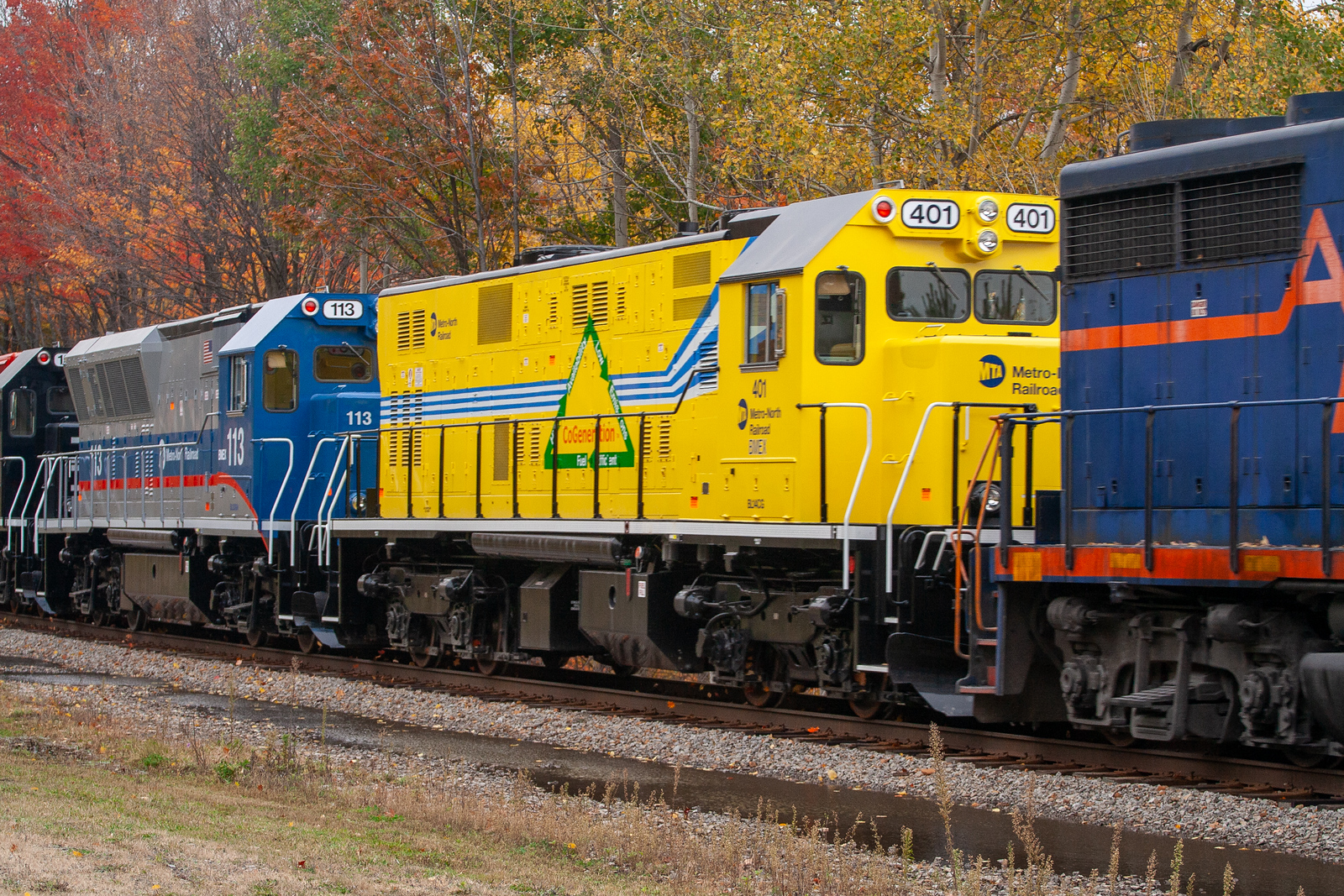 MNCW 401