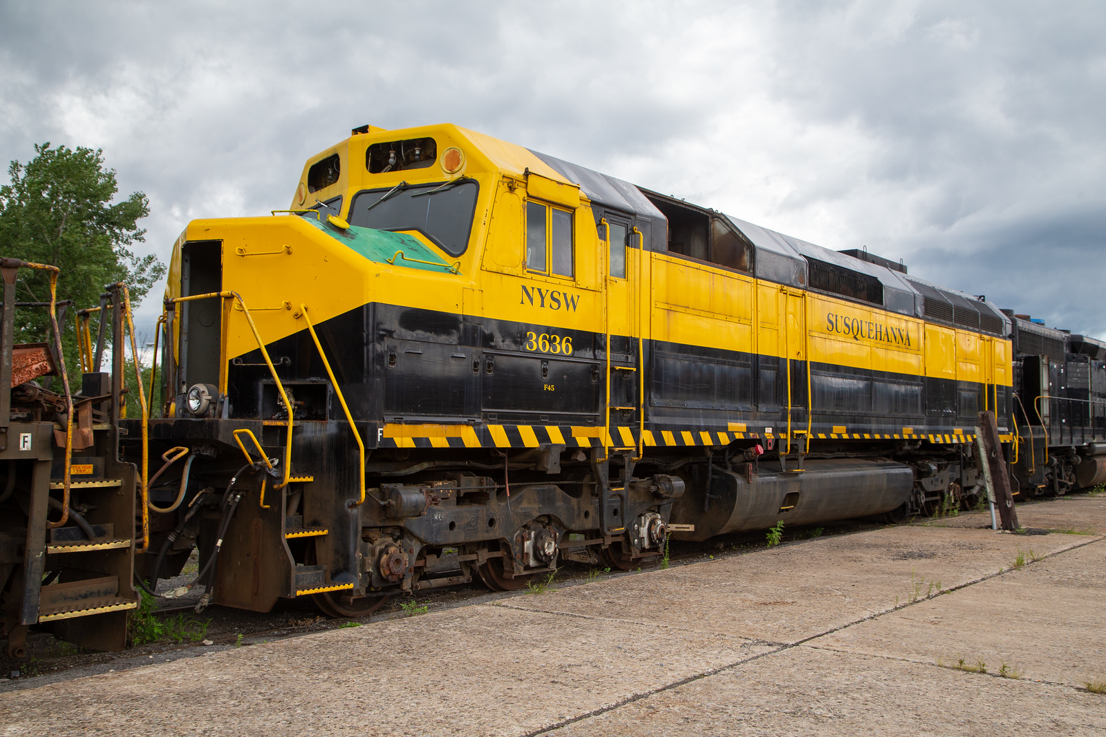 NYSW 3636