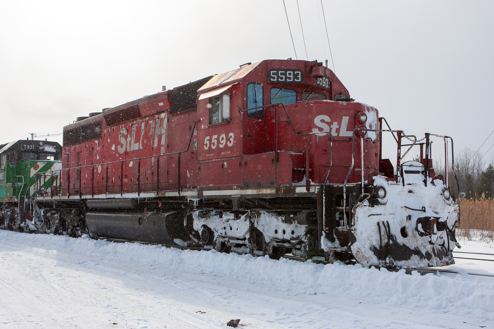 STLH 5593