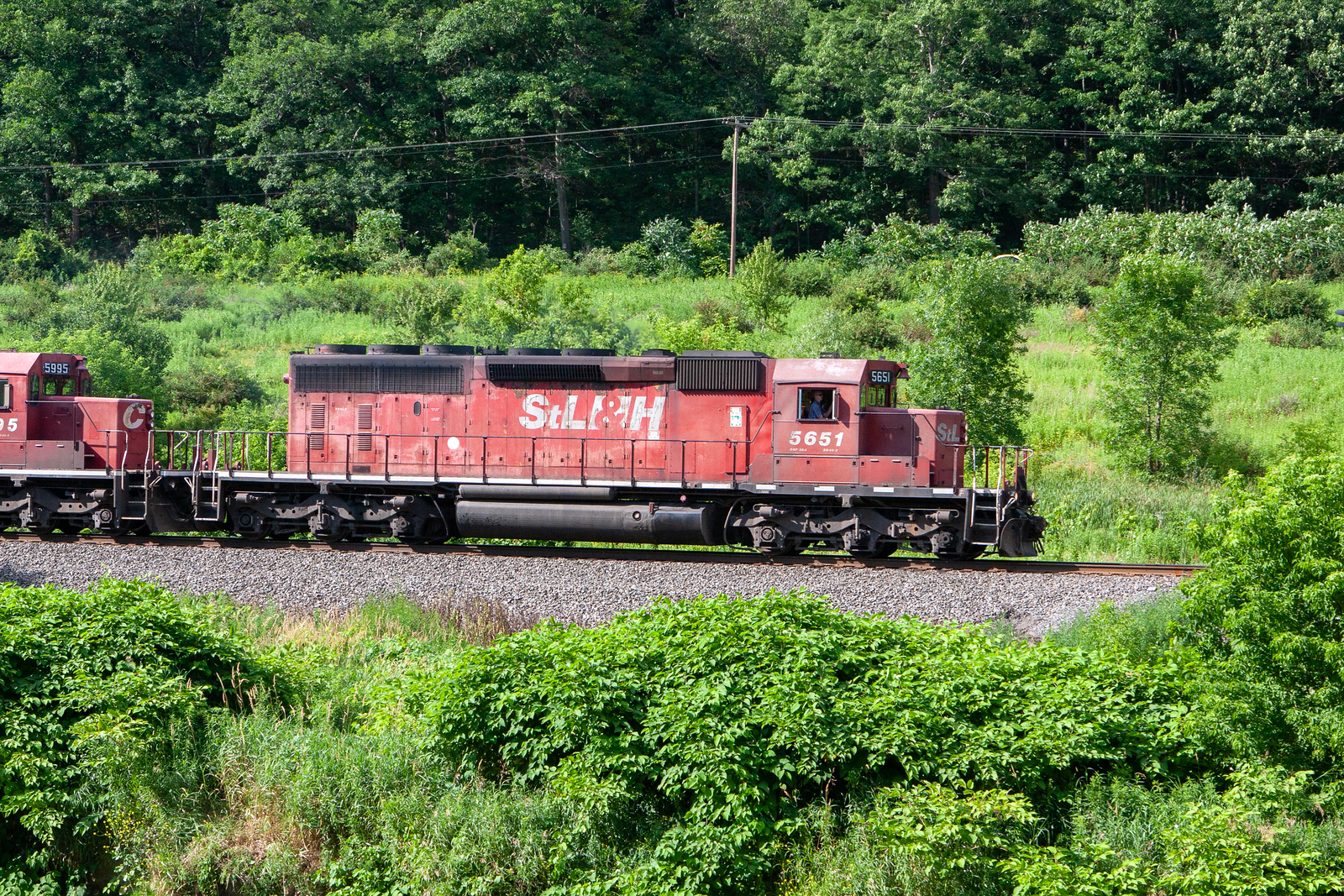 STLH 5651