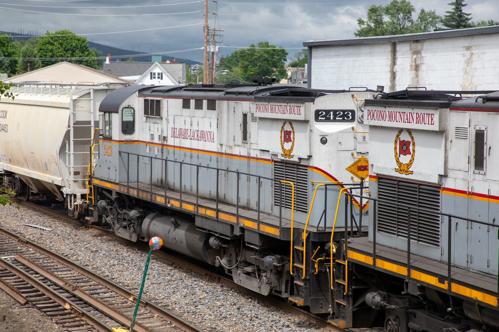 DL 2423