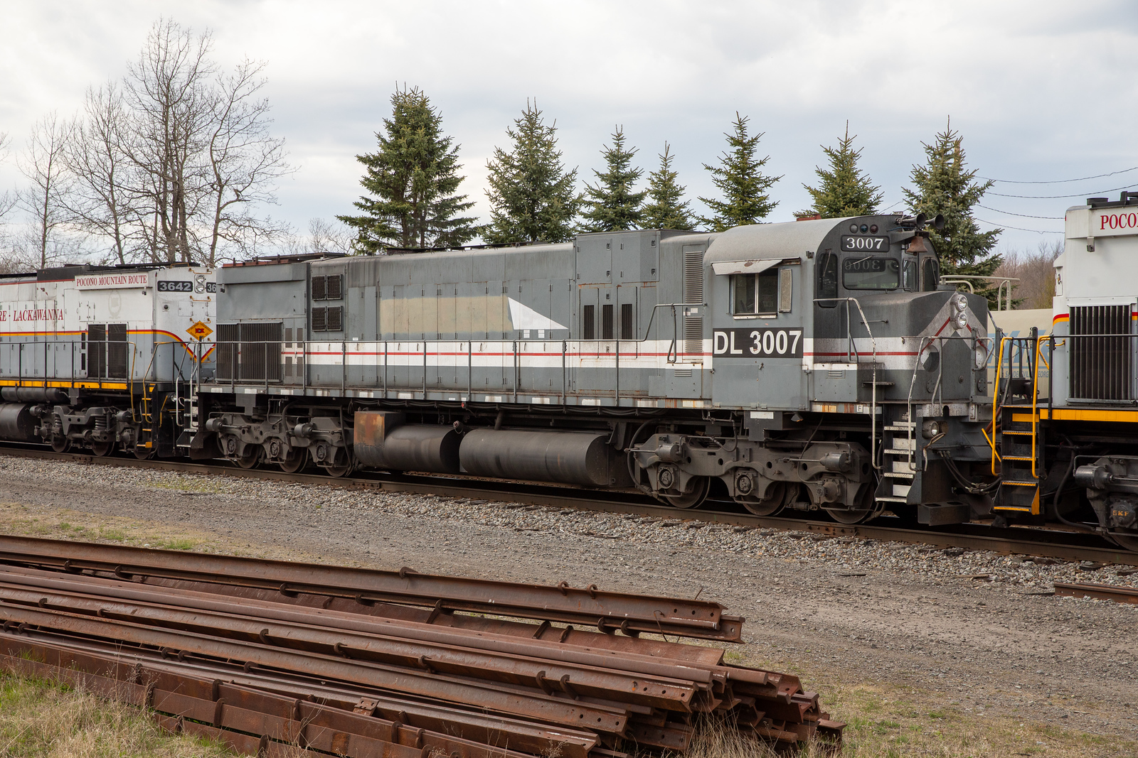 DL 3007