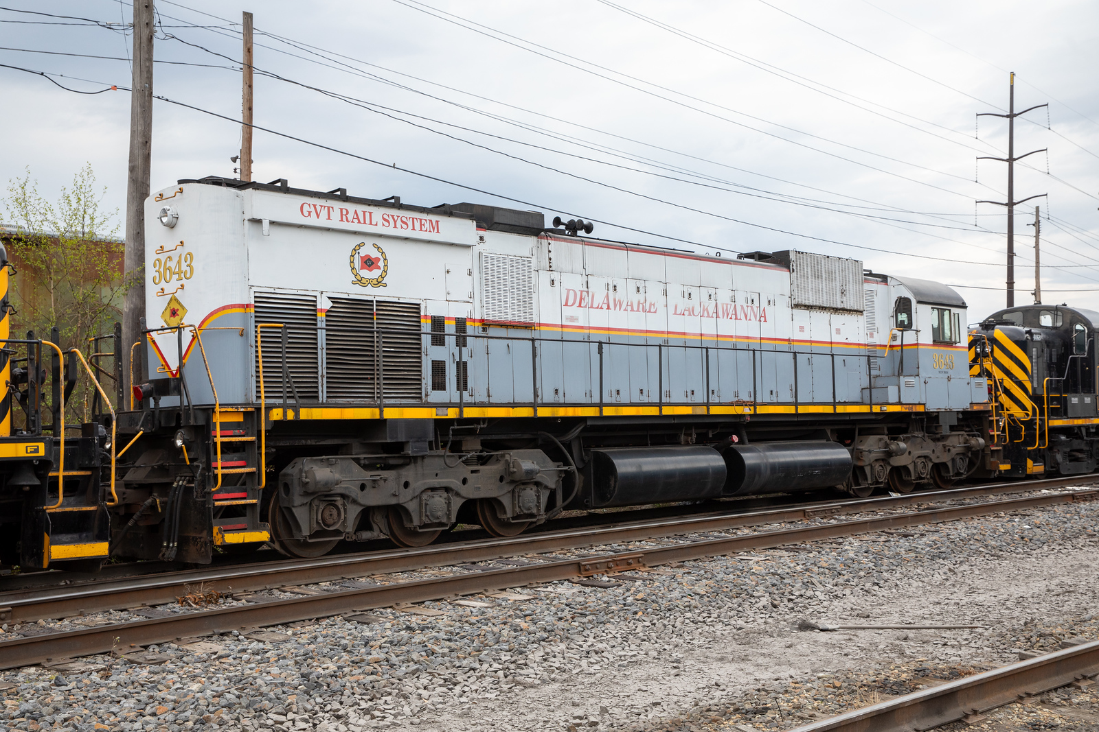 DL 3643