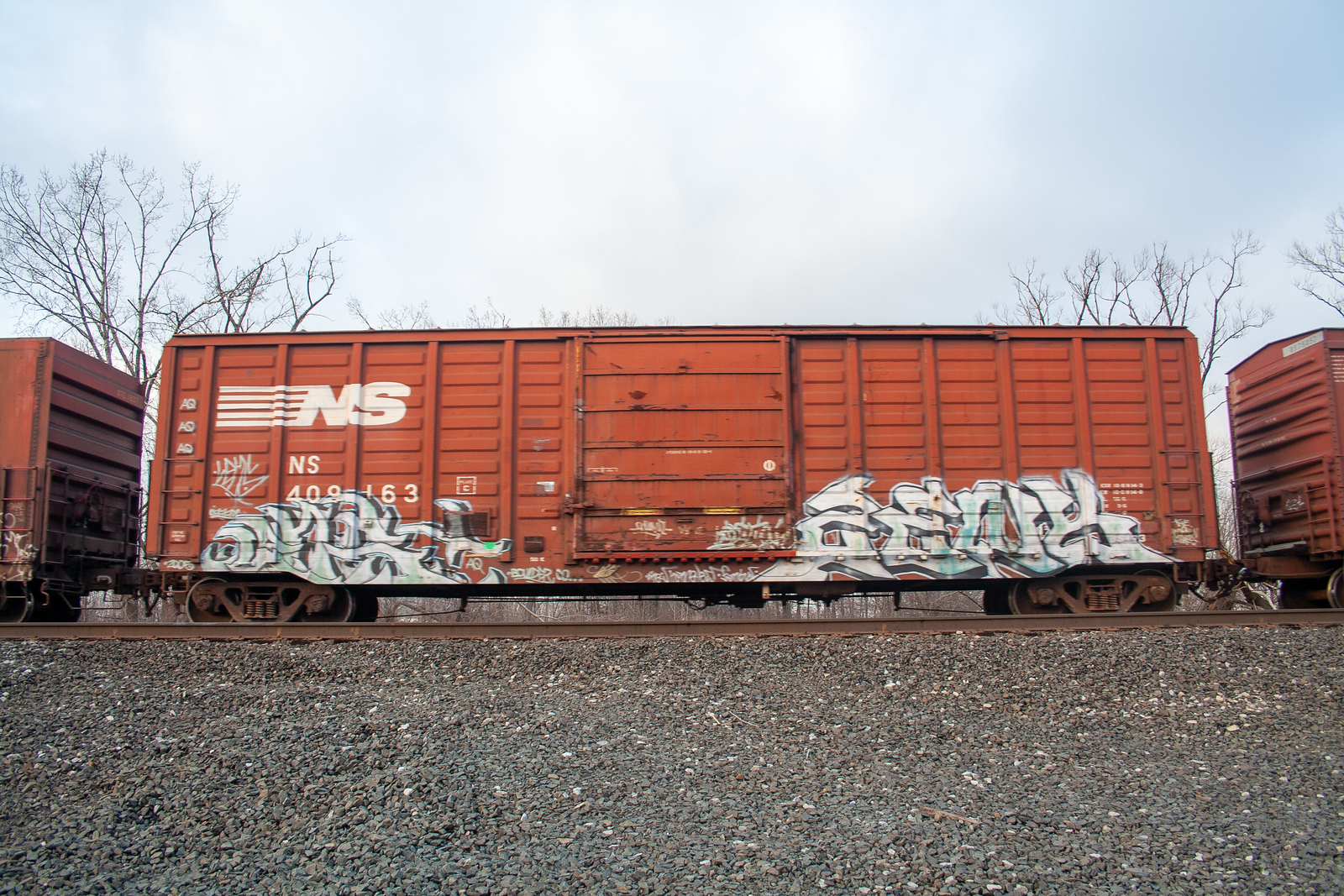 NS 409163