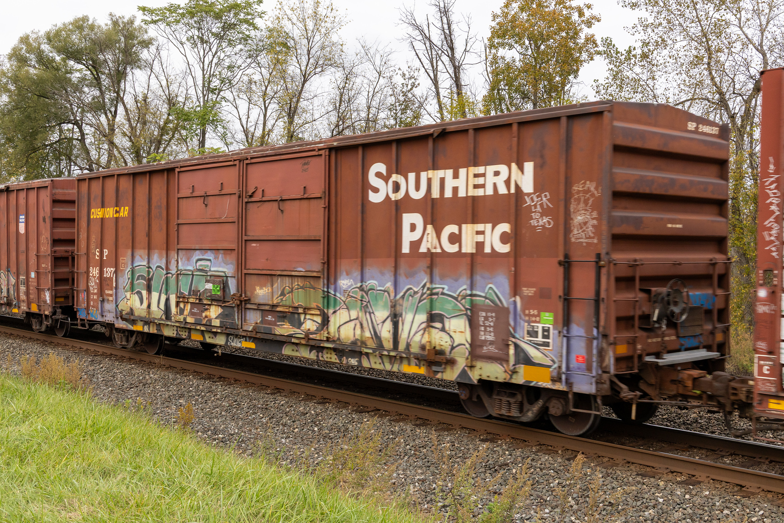 SP 246137