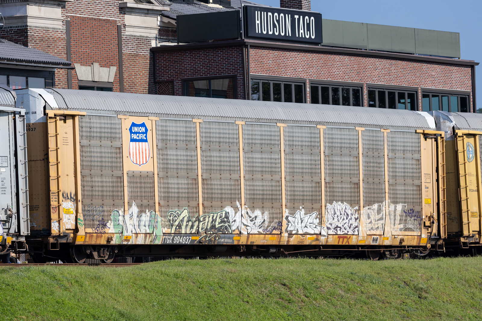 TTGX 994937