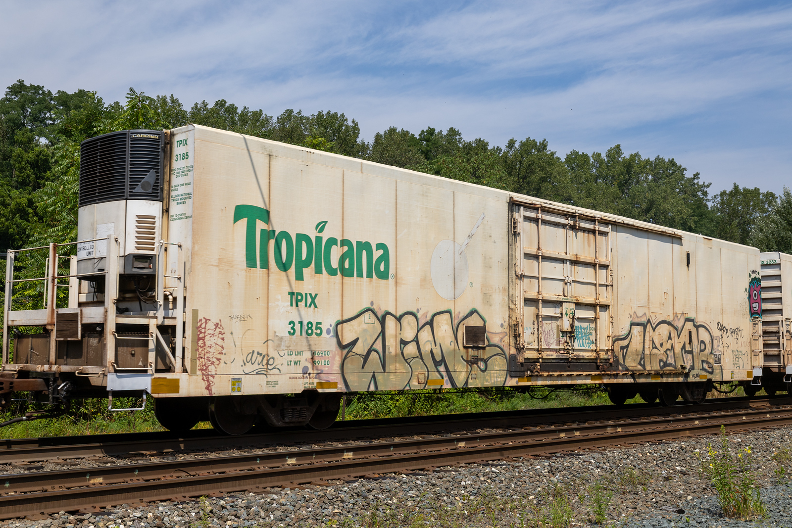 TPIX 3185