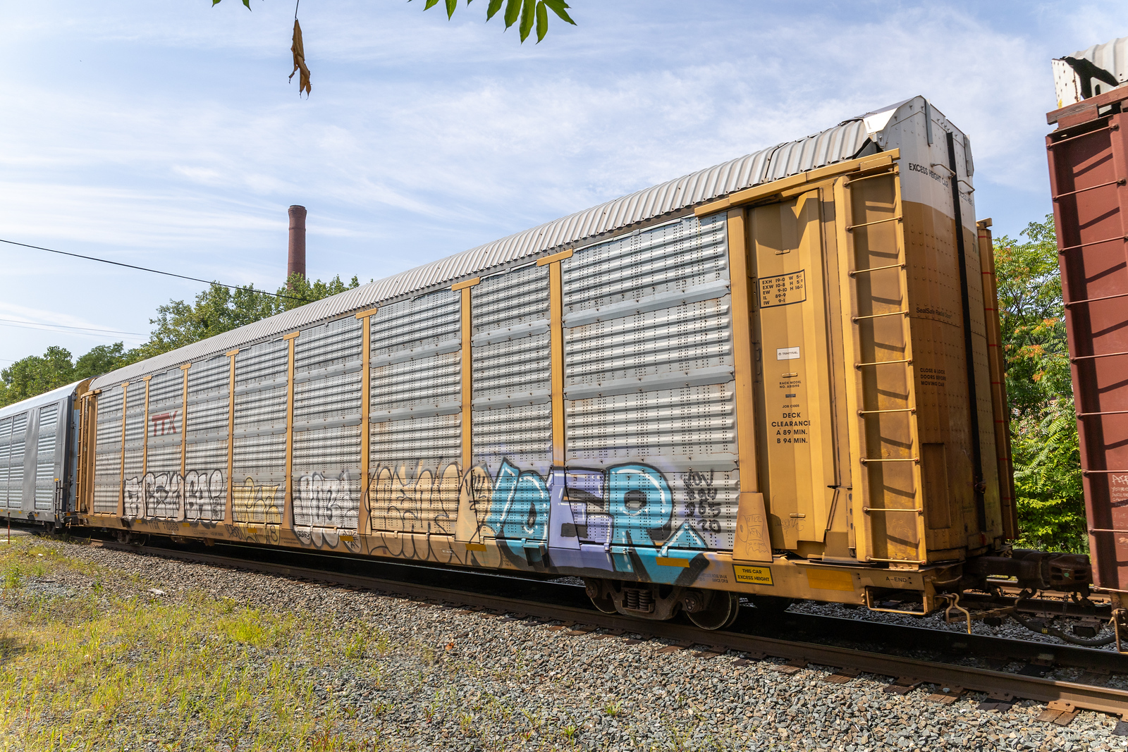TTGX 710869