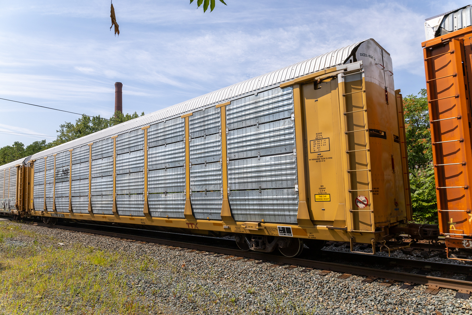 TTGX 973771