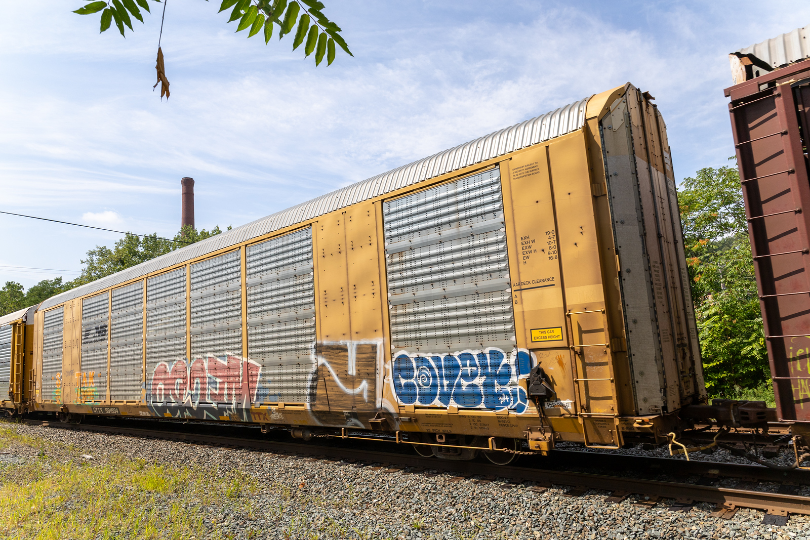 CTTX 691694