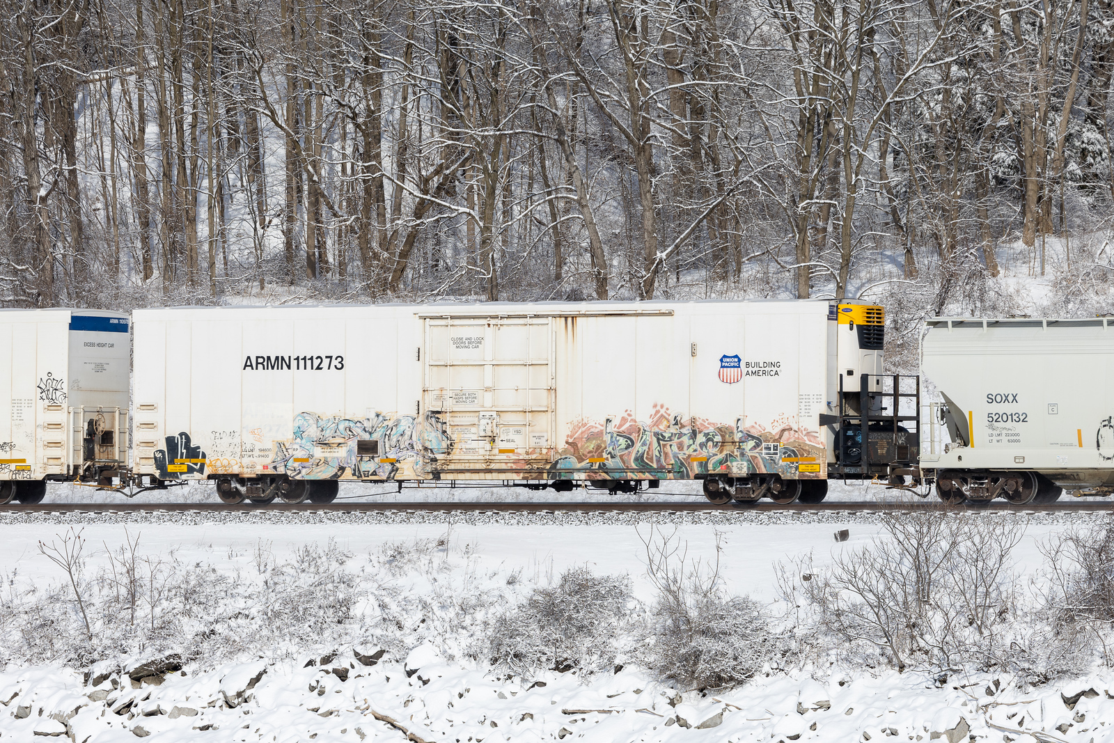 ARMN 111273